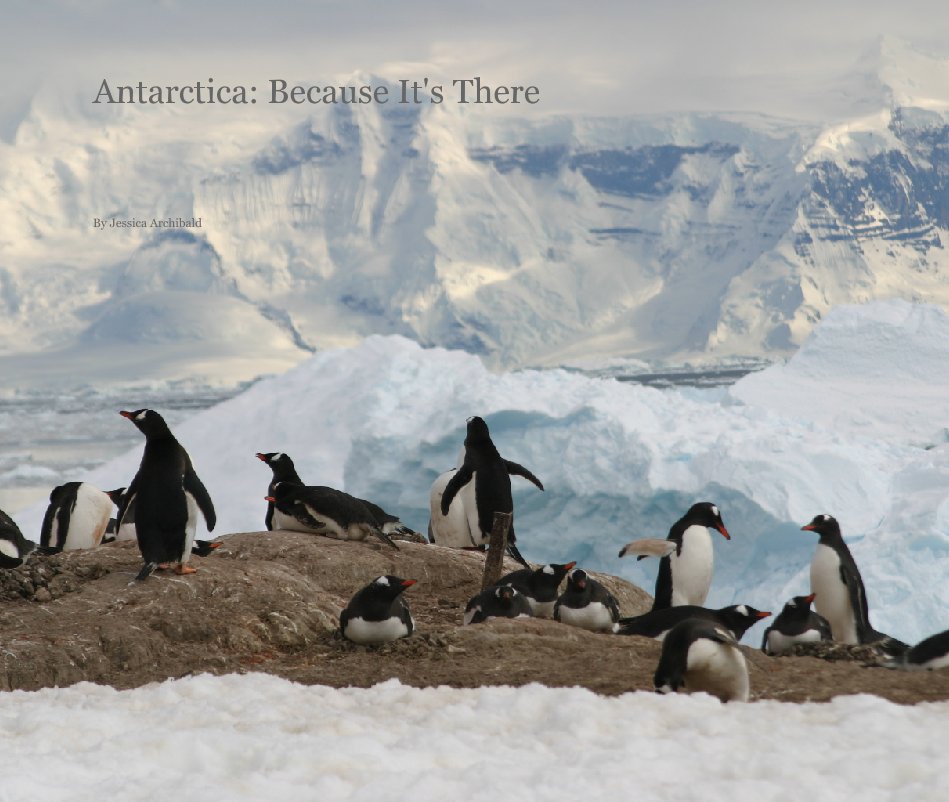 View Antarctica: Because It's There by Jessica Archibald