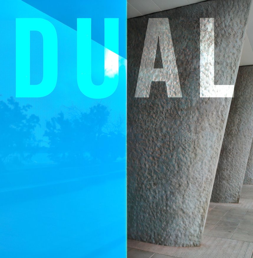 View Dual Volume 1 by Julien Greard