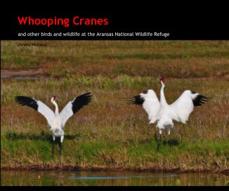 Whooping Cranes book cover