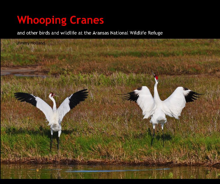 Ver Whooping Cranes por Jimmy Holland