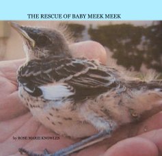 THE RESCUE OF BABY MEEK MEEK book cover