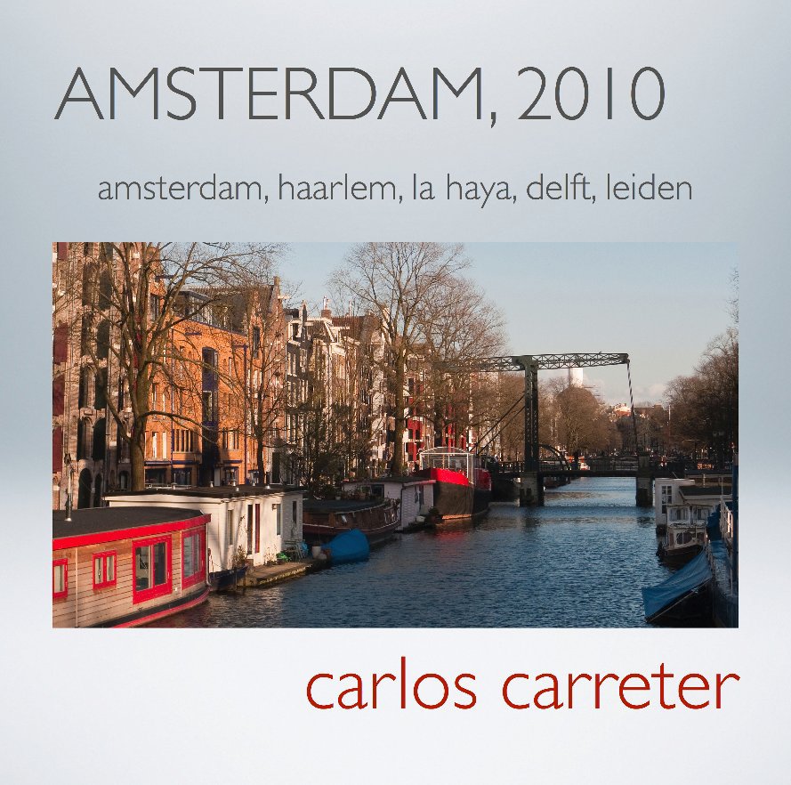 View Amsterdam, 2010 by Carlos Carreter