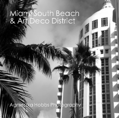 Miami South Beach & Art Deco District book cover