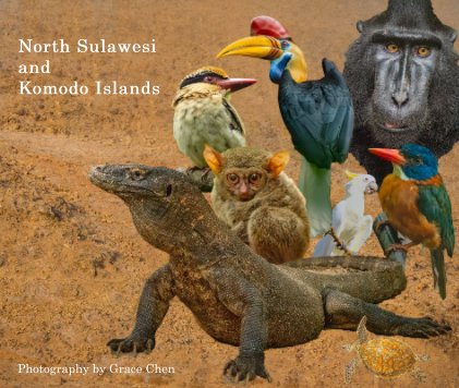 North Sulawesi and Komodo Islands book cover