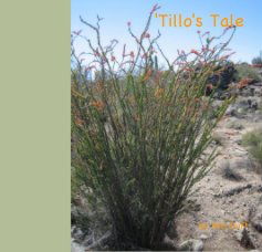'Tillo's Tale book cover