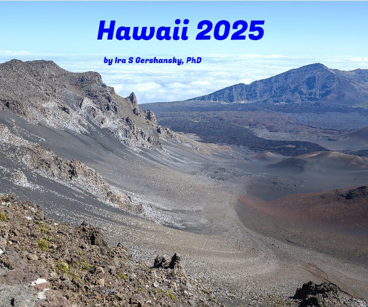 View Hawaii 2025 by Ira S Gershansky, PhD