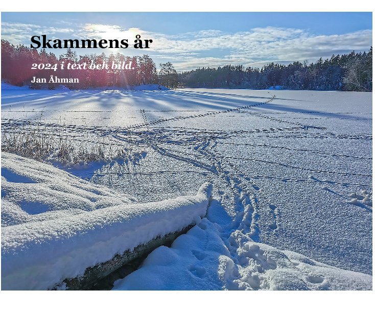 Skammens år nach Jan Åhman anzeigen