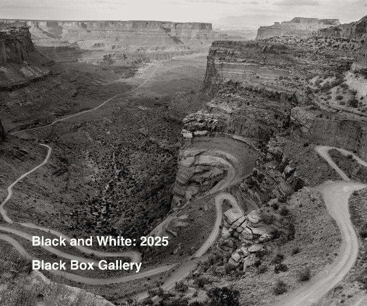 View Black and White: 2025 by Black Box Gallery