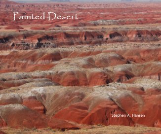 Painted Desert book cover
