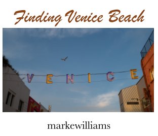 Finding Venice Beach book cover