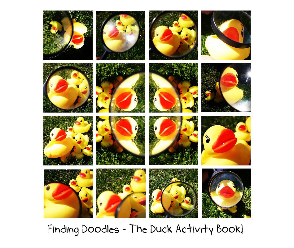 View Finding Doodles - The Duck Activity Book! by DENI SMITH