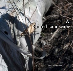 A Ruined Landscape book cover