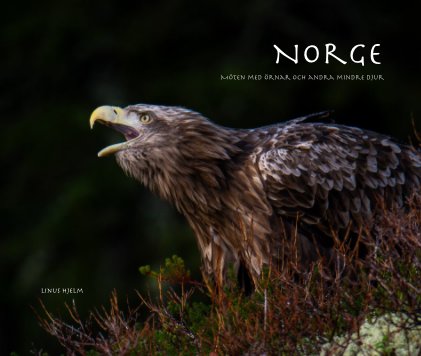 Norge book cover