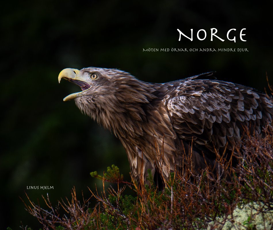 Ver Norge por Linus Hjelm