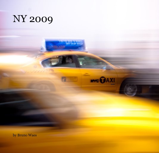 View NY 2009 by Bruno Waes
