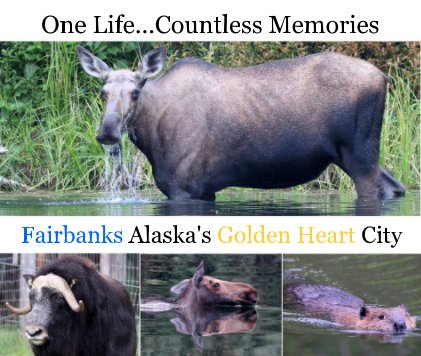 Fairbanks Alaska's Golden Heart City book cover