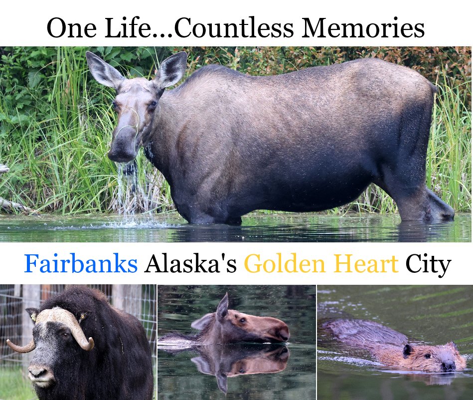 View Fairbanks Alaska's Golden Heart City by Chris Shaffer