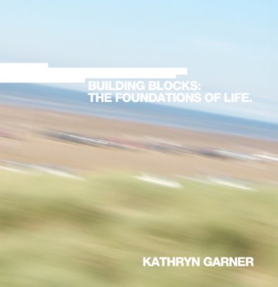 Building Blocks: The Foundations Of Life book cover