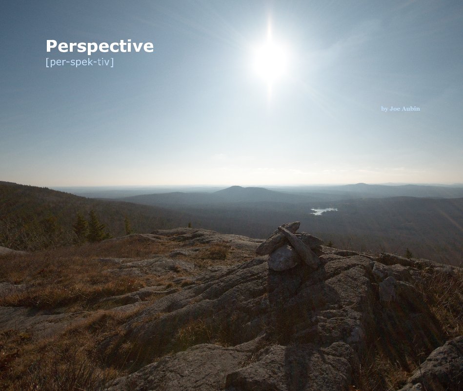 Ver Perspective [per-spek-tiv] por Joe Aubin