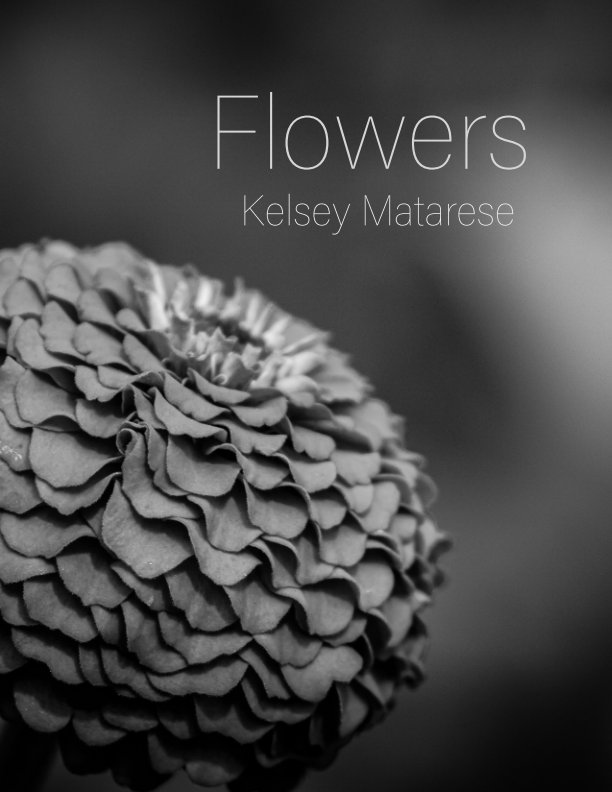 View Flowers (BW) by Kelsey Matarese