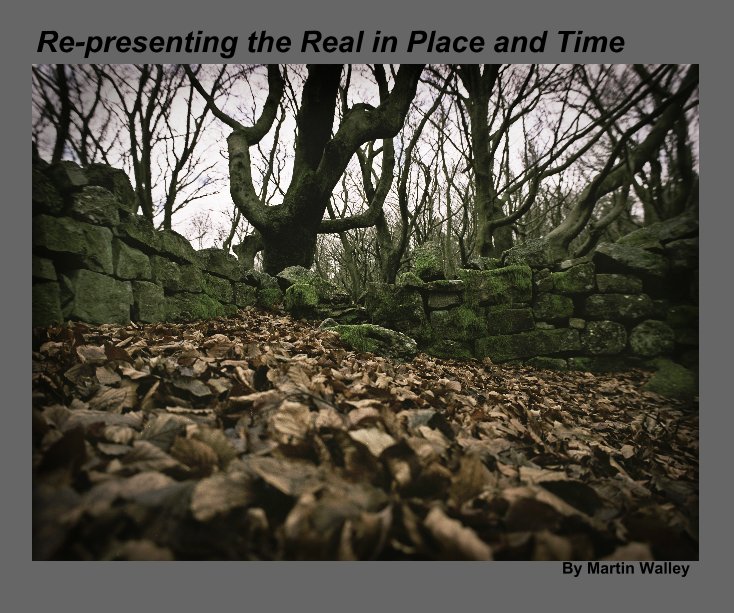 View Re-presenting the Real in Place and Time by Martin Walley