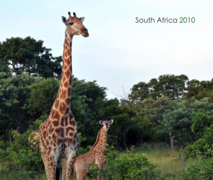 South Africa 2010 book cover