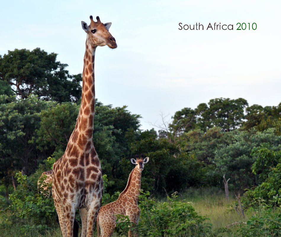 View South Africa 2010 by andipics