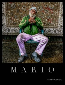 Mario book cover