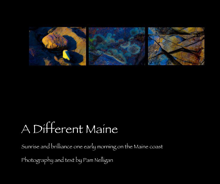 View A Different Maine by Photography and text by Pam Nelligan