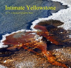 Intimate Yellowstone book cover