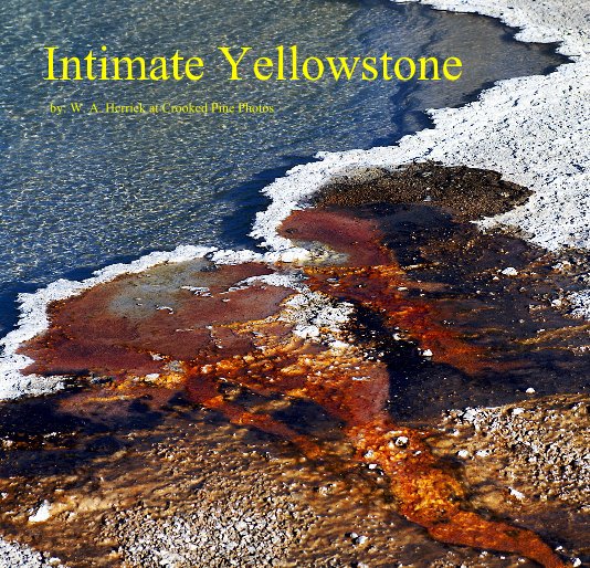 Ver Intimate Yellowstone por by: W. A. Herrick at Crooked Pine Photos