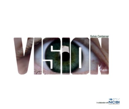 Vision book cover