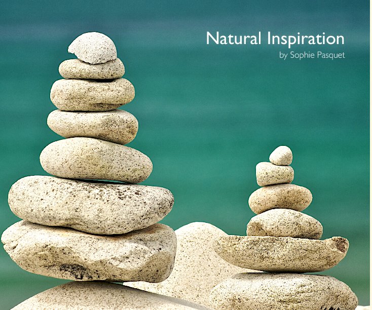 Ver Natural Inspiration (Hardcover) por Sophie Pasquet