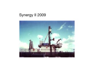 Synergy II 2009 book cover