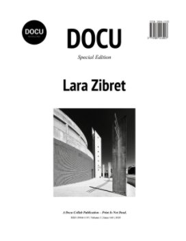 Lara Zibret book cover