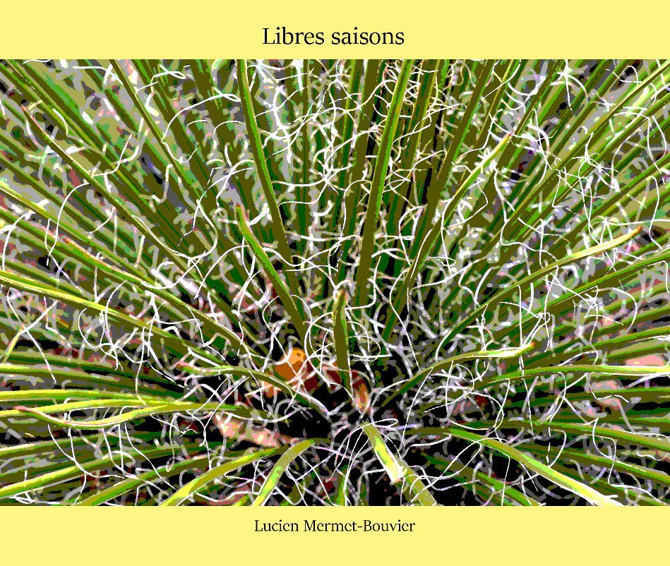 View Libres saisons by Lucien Mermet-Bouvier