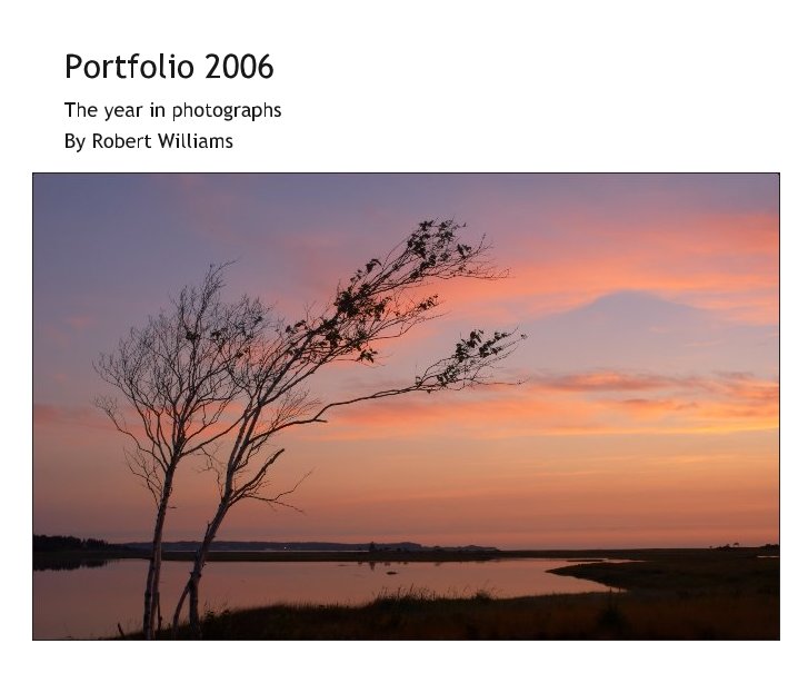 Bekijk Portfolio 2006 op Robert Williams