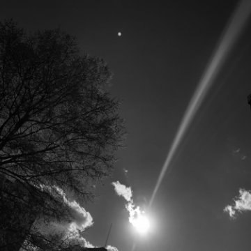 View Wishing Upon A Felled Star by dan henry II/the sieben-null