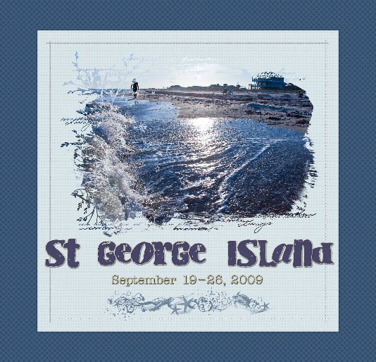 View St. George Island 2009 by earlofoxford