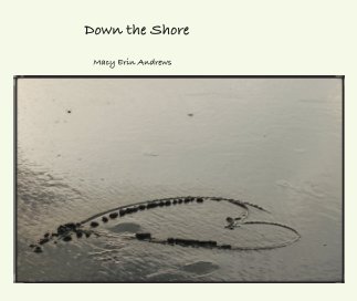 Down the Shore book cover