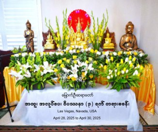Mrauk U Sayadaw - 3 Days Retreat at Las Vegas book cover