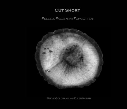 Cut Short 2025 book cover