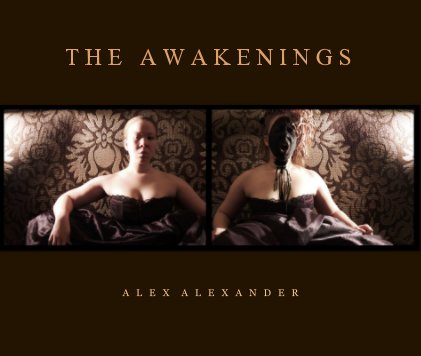 THE  AWAKENINGS book cover