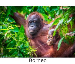 Malaysian Borneo book cover