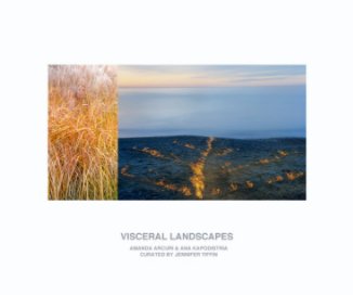 Visceral Landscapes book cover