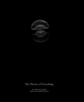 The Theory of Everything book cover