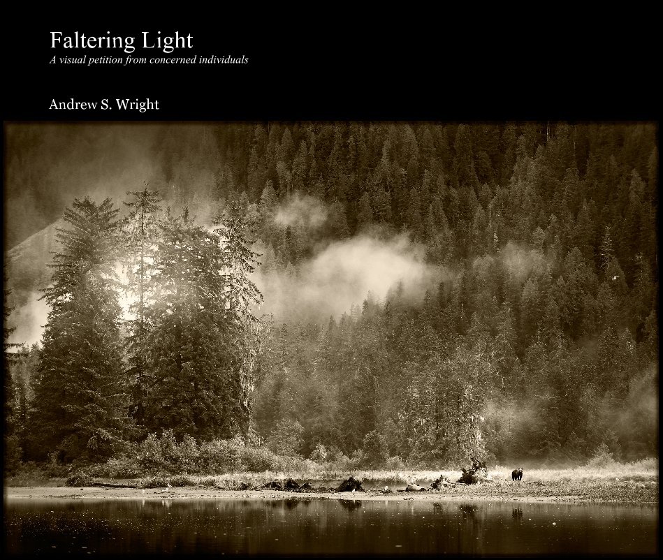 View Faltering Light by Andrew S. Wright