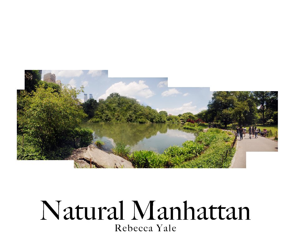 View Natural Manhattan by Rebecca Yale