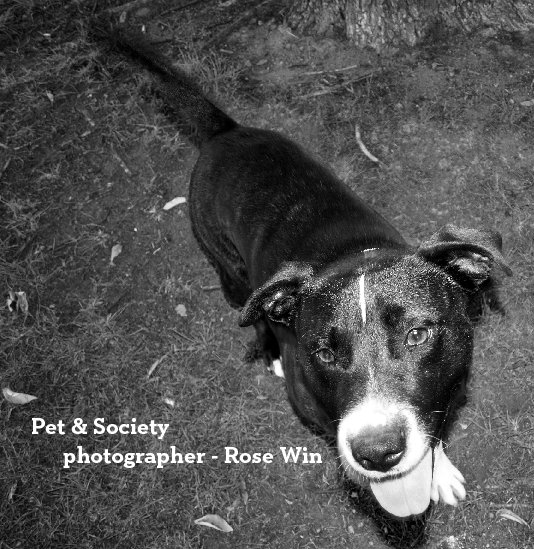 View Pet & Society by Rose Win