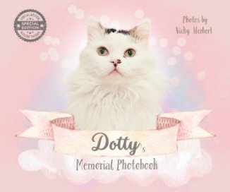 Dotty book cover